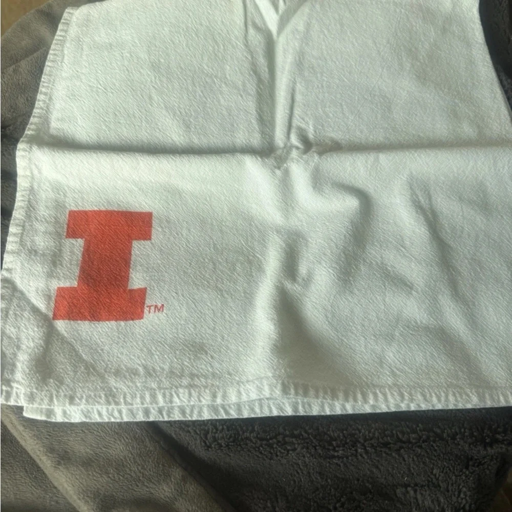 University of Illinois kitchen flour sack towel